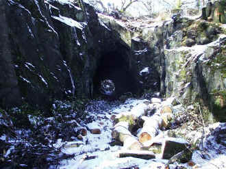 S8_KW4-3-06Goat Tunnel c.jpg (92527 bytes)