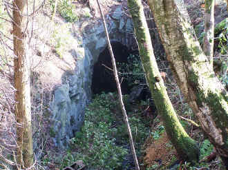 S9_BWH19-3-05Goat Tunnel north from bank.jpg (118103 bytes)