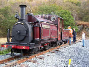 Palmerston_BWH27-10-08stabled at BYF.jpg (99880 bytes)