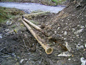 S11_AS1-11-07HYL iron pipes excavated.jpg (110477 bytes)
